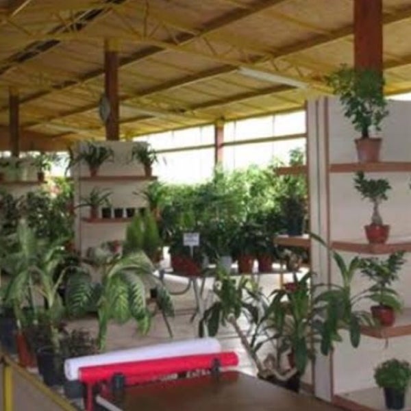 Ziraat Aile Çay Bahçesi Tea Room