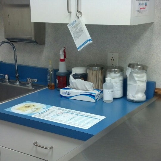 VCA Animal Hospital Veterinarian in College Park