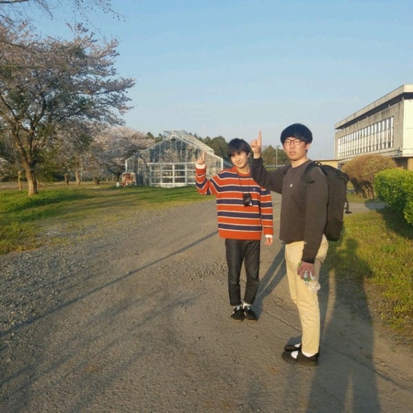 茨城県立農業大学校 茨城町 茨城県 茨城県立農業大学校 茨城町 茨城県