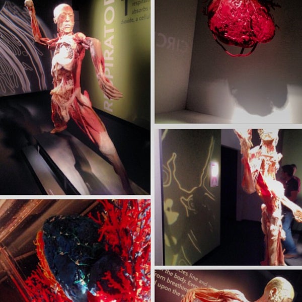 รูปภาพถ่ายที่ BODIES...The Exhibition โดย @VegasWayne A. เมื่อ 10/30/2013