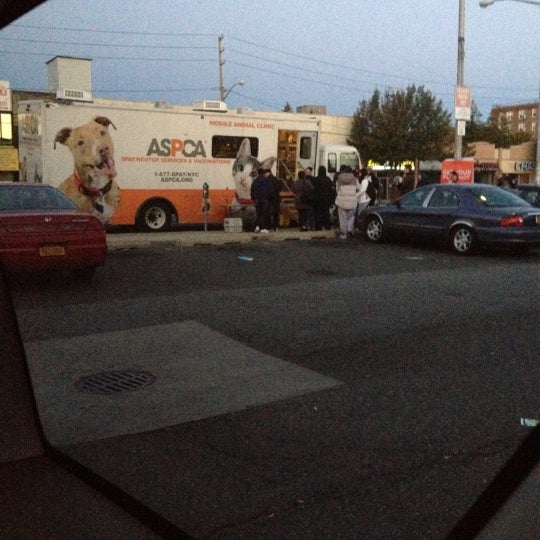 ASPCA Mobile Adoption Unit Chelsea 5 tips from 102 visitors