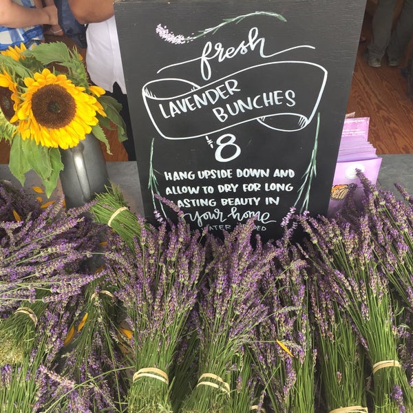7/15/2018에 Jairus Gaberiel F.님이 Lavender By the Bay - New York&#39;s Premier Lavender Farm에서 찍은 사진