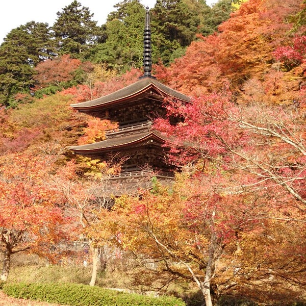 Photos At 金剛院 Buddhist Temple In 舞鶴市