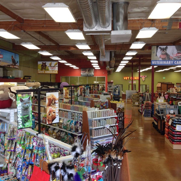 Katie online pet depot