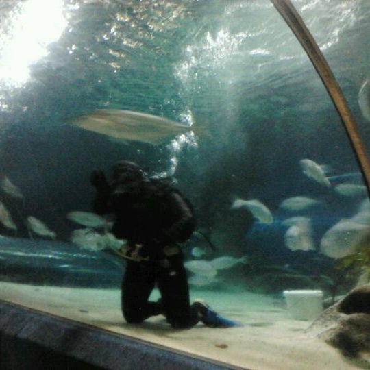 National Aquarium of New Zealand 3 tips from 402 visitors