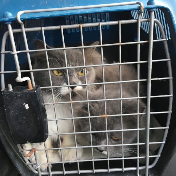 Klinik Haiwan Ara Ampang