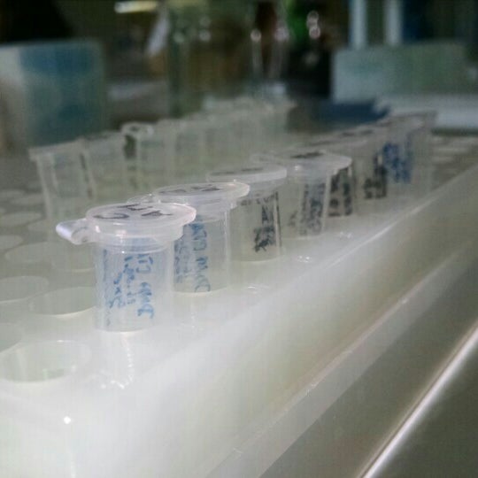 Институт биофизики и клеточной инженерии нан беларуси. Институт клеточной инженерии. Институт клеточной инженерии. Институт клеточной инженерии. Культура клеток растений.