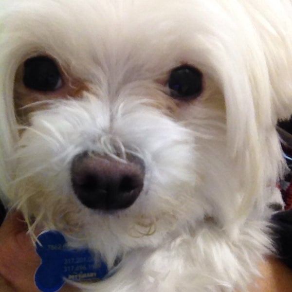 12/16/2013にSandra J.がThe Paw Patch Veterinary Clinicで撮った写真