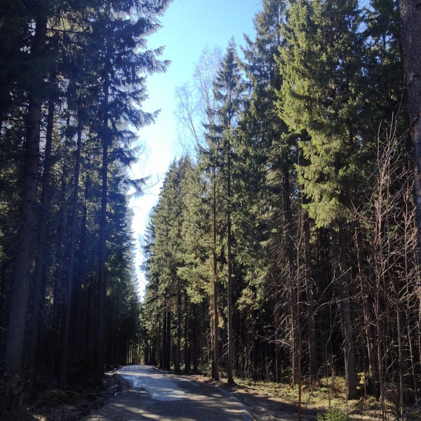 новожилово березники