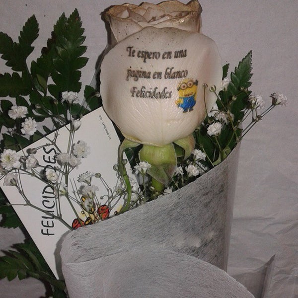 Foto scattata a Flores a domicilio Graficflower da Floristeria a domicilio Graficflower il 1/14/2015
