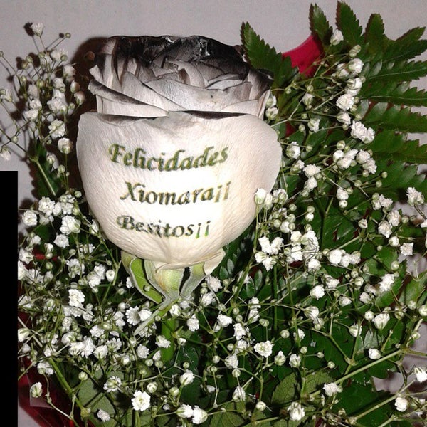 11/28/2014にFloristeria a domicilio GraficflowerがFlores a domicilio Graficflowerで撮った写真