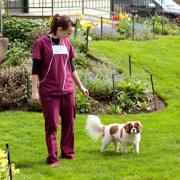 Oswego Veterinary Hospital 20 visitors