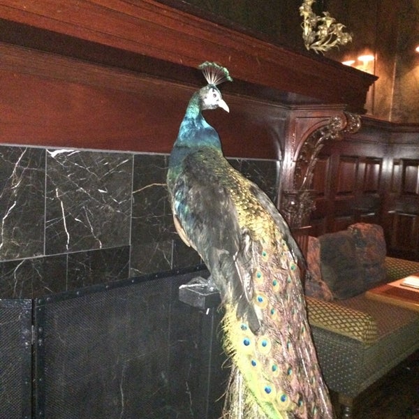 6/20/2014 tarihinde Britt B.ziyaretçi tarafından The Peacock'de çekilen fotoğraf