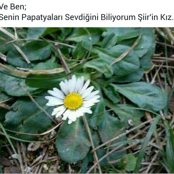 Das Foto wurde bei The Marmara Pendik Residence von Eylem A. am 1/28/2016 aufgenommen