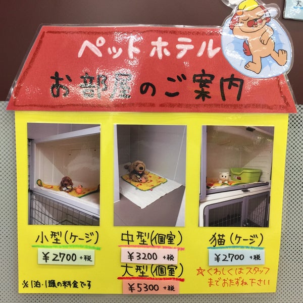 Fotos en ペットワールド アミーゴ 宇都宮簗瀬店 - 86 visitantes