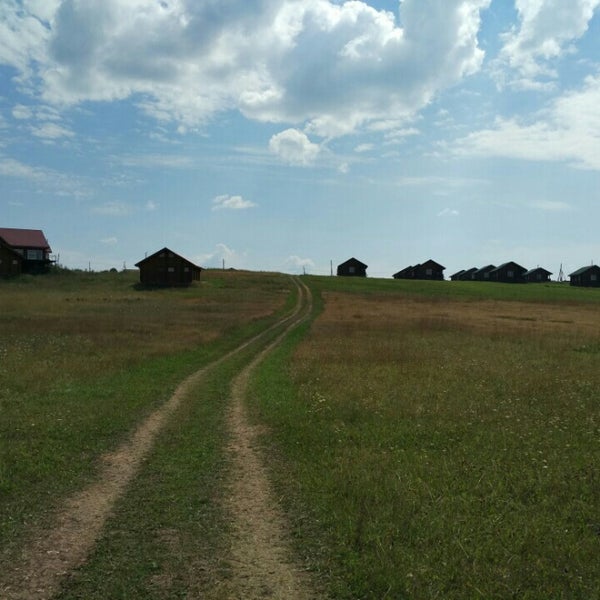 Желтые горные цветы. Ферганская долина мак. Суссекс англия. Great field. Грейт филд база отдыха.