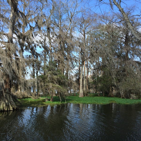 3/14/2016 tarihinde Rob F.ziyaretçi tarafından Cajun Country Swamp Tours'de çekilen fotoğraf