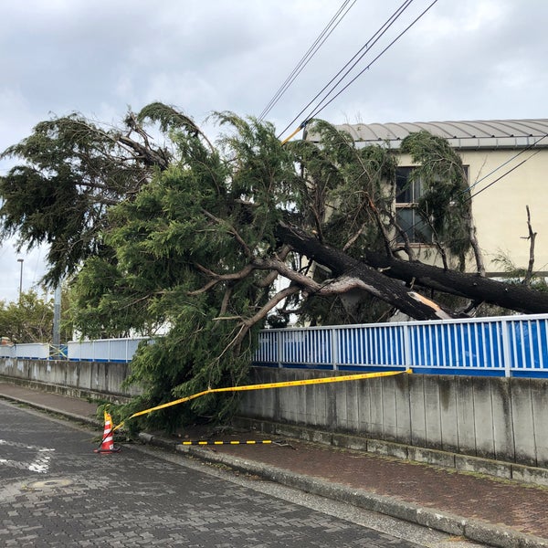 Photos At 横須賀市立追浜中学校 横須賀 横須賀市 神奈川県