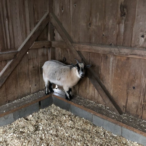 Photo taken at The Amish Farm and House by Jian on 11/24/2018