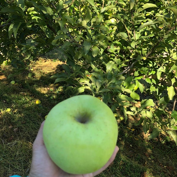 Photo taken at Fishkill Farms by Jian on 10/5/2019