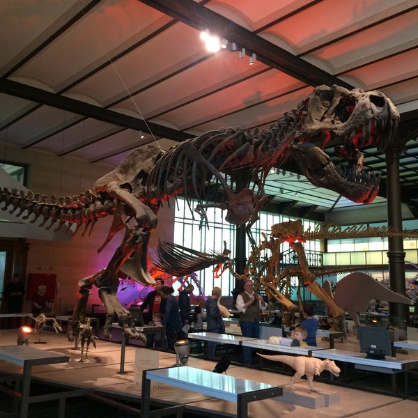 Photo taken at Museum of Natural Sciences by Maksym m. on 5/11/2019