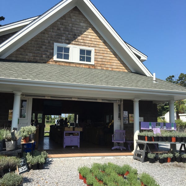 Photo taken at Lavender By the Bay - New York&#39;s Premier Lavender Farm by Anabella M. on 9/16/2017