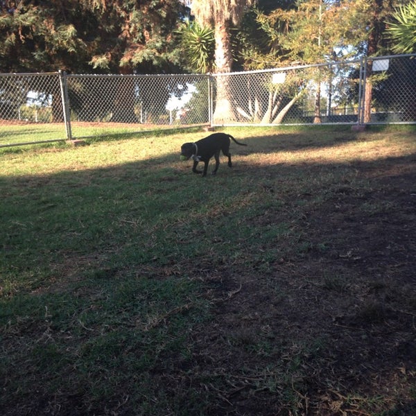 Photos at Las Palmas Dog Park Sunnyvale, CA