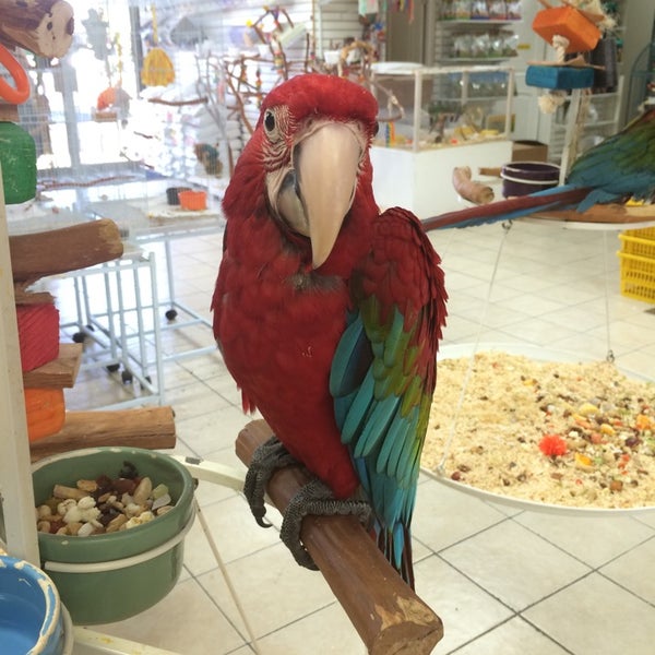 Photos at Omar's Exotic Birds Pet Store