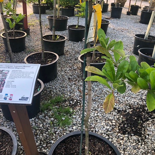 Oakland Nursery Garden Center in Delaware