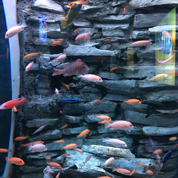 Photo taken at Aquarium Cancun by Esaud L. on 11/19/2017
