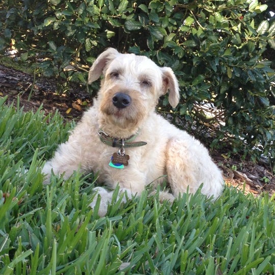 Photos at University of Florida Small Animal Hospital 4 tips from 206 visitors