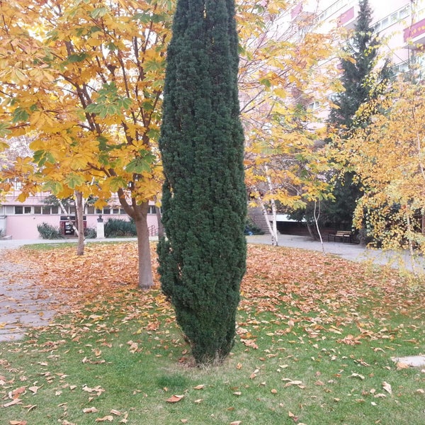 Photo prise au Ankara Üniversitesi İletişim Fakültesi - İLEF par Mehmed Ş. le11/20/2014