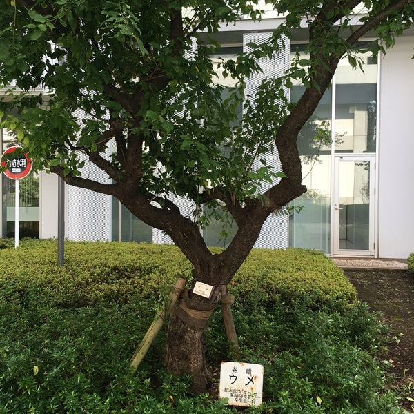 東京経済大学 図書館 小金井 南町1 7 34