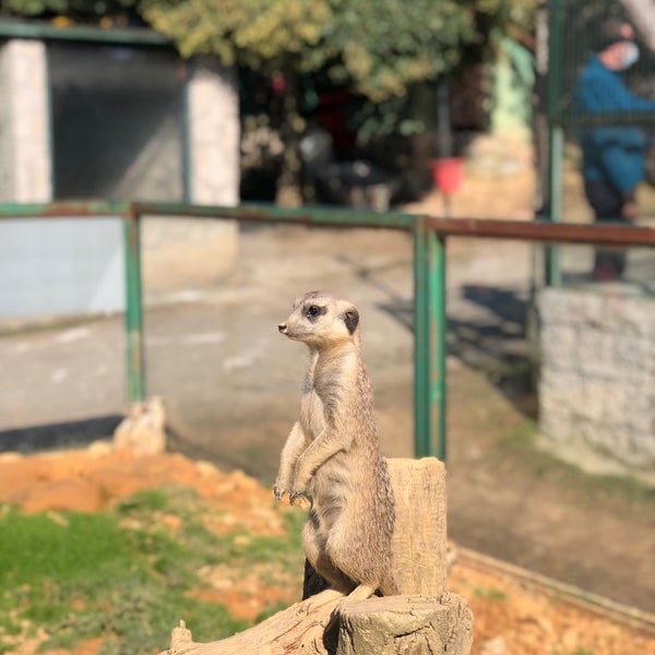 Foto tomada en Polonezköy Hayvanat Bahçesi ve Doğal Yaşam Parkı  por Melis N. el 10/23/2021