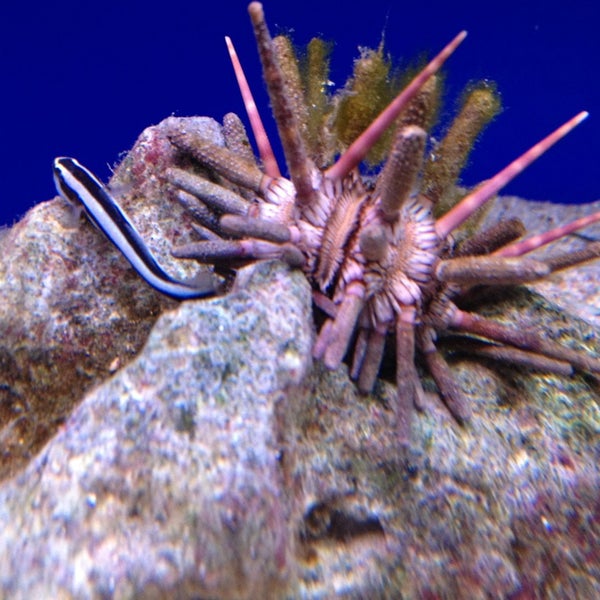 porton garden aquatics pets salisbury wiltshire