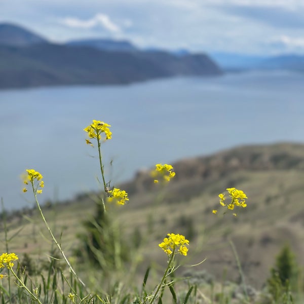 Kamloops Lake Viewing Area Savona, BC