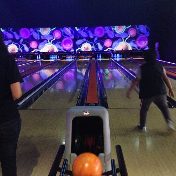 Xtreme Entertainment Wairau Wairau Valley 10 Target Court