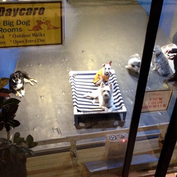 Dog Wash Doggie Daycare & Boarding NYC Greenwich Village 177