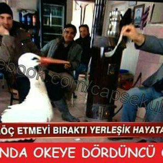 Degerliler Mobilya On Twitter History Yatak Odasi Http T Co Nxouimq2l1