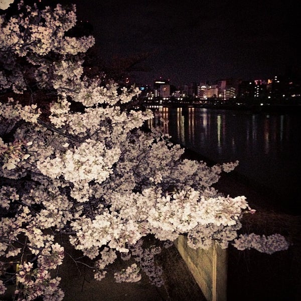 隅田公園 13 Tips From 5166 Visitors