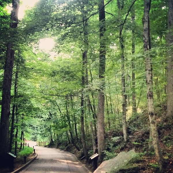 Trail Park