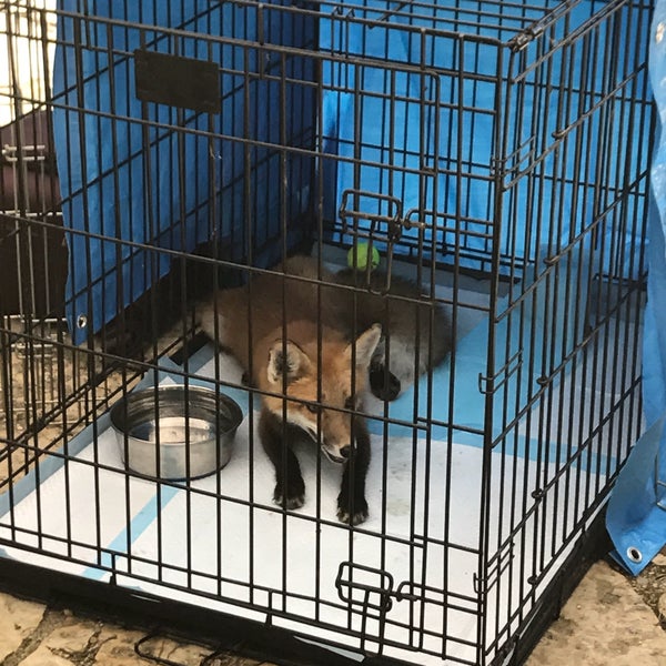 Das Foto wurde bei Indian Creek Nature Center von Jen B. am 7/9/2017 aufgenommen