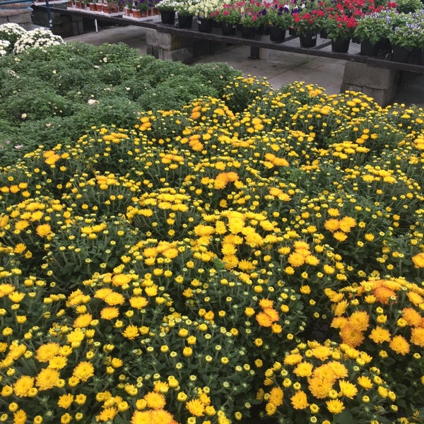 Lowe's Kernersville, NC