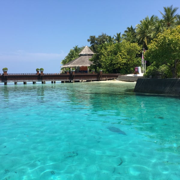 Chaaya Reef Ellaidhoo