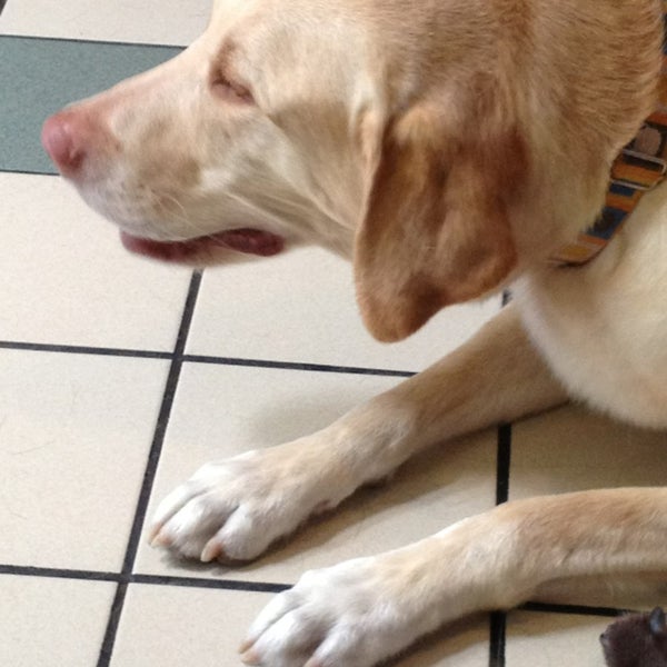 8/9/2013にJoe R.がBrykerwood Veterinary Clinicで撮った写真