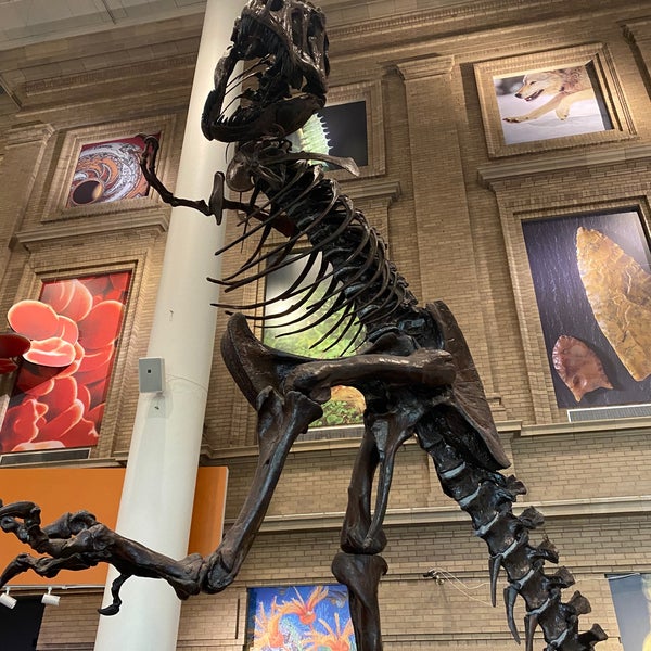 Photo taken at Denver Museum of Nature and Science by Jason H. on 6/26/2021
