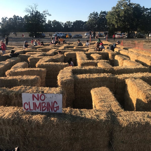 Perry's Pumpkin Patch Ardenwood Fremont, CA