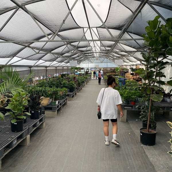 plant and pottery outlet Sunol, CA