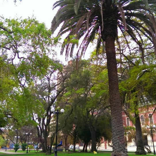 Plaza tranquila de árboles antiguos al lado del edificio ejército bicentenario