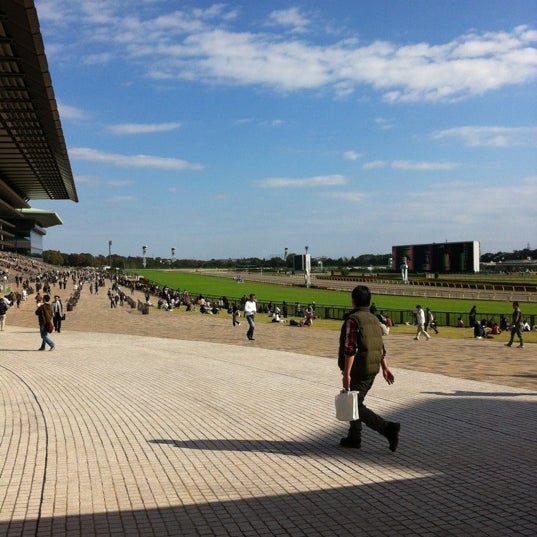 東京競馬場 西門 府中のレース場